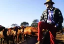Almir Sater esbanja fortuna em gados em fazenda milionária que foi cenário para a novela “Pantanal”