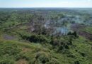 Bombeiros combatem incêndios florestais em Naviraí e no Pantanal