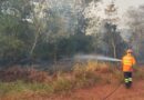 Com esforço concentrado, Corpo de Bombeiros combate incêndio florestal na região de Itaquiraí