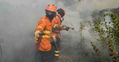Luta dos Bombeiros contra o fogo no Pantanal é contínua e emociona quem é salvo das chamas