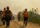 Força-tarefa atua para prevenir e combater incêndios no Pantanal em nova onda de calor e tempo seco