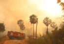 Operação Pantanal 2024: Desafios contra incêndios florestais em MS continuam