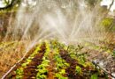 Governo investe mais de R$ 5 milhões em Programa de Residência Agrária