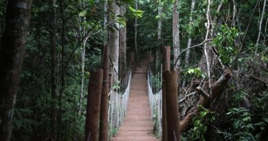 Deck, mirante e ponte suspensa: Cenário da Corrida da PMA é aberto para população