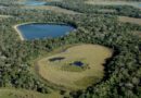 Encontro discute revisão do plano de manejo do Parque Estadual do Rio Negro