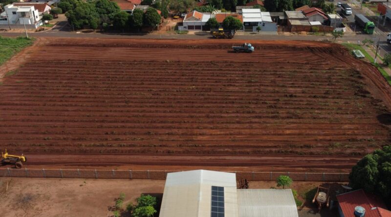 Vicentina prepara terreno para fazer sua festa de aniversário, em junho