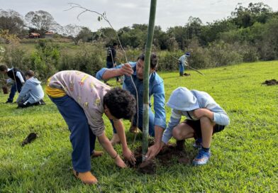 Educação ambiental: Vicentina planta consciência para garantia de um futuro sustentável