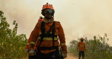 Com menor ocorrência de incêndios florestais, Governo de MS mantém alerta e atuação dos bombeiros