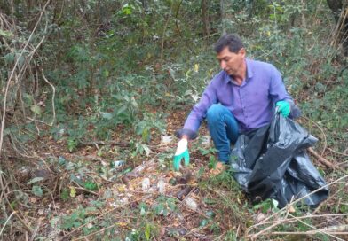 Vicentina mais sustentável: Ações reforçam defesa e educação ambiental