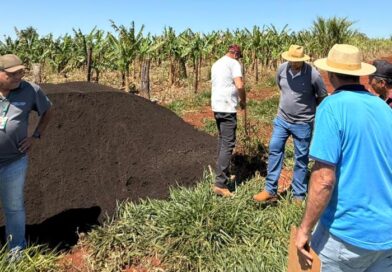 Agricultura sustentável: Pequenos produtores de Vicentina recebem adubo orgânico