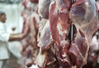 Exportações de MS somam US$ 7,24 bilhões até agosto e carne bovina cresce 43,7% no acumulado do ano