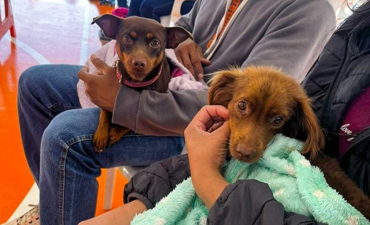 Caravana da Castração: 2ª etapa atende 9,6 mil animais e avança para Grande Dourados e Cone Sul
