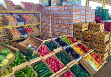 Ceasa de MS chega aos 46 anos conectando produtores e comerciantes