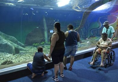 Bioparque Pantanal recebe selo internacional “ouro” por sustentabilidade e se destaca entre atrativos turísticos mundiais