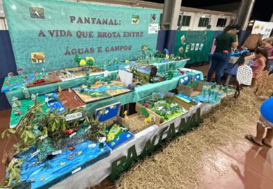 Com diversidade de elementos, escola de Vicentina realiza com sucesso sua primeira feira de ciências