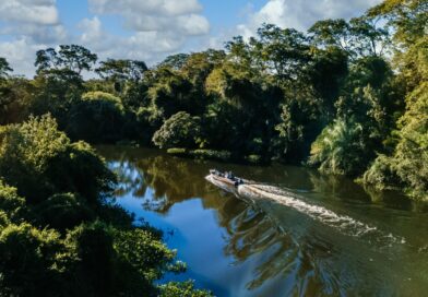 Tratamento de esgoto ajuda a proteger a biodiversidade pantaneira