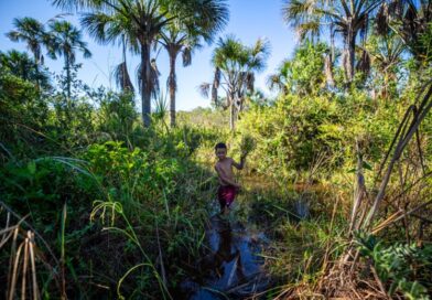 Campanha alerta para a importância do Cerrado na segurança hídrica do país