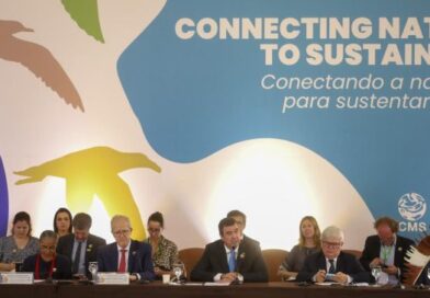 Desenvolvimento e conservação ambiental: MS sedia encontro de líderes globais que antecede COP15