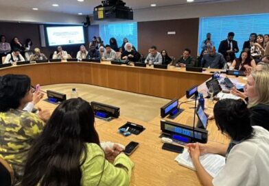 MS leva programa Protege à ONU e debate proteção de mulheres em fórum internacional