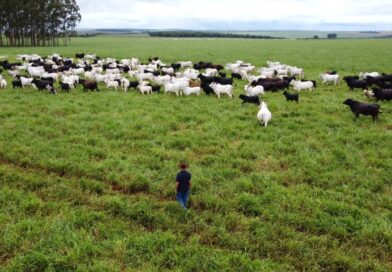 Com maior crescimento do país, agro de MS é fruto de incentivo, modernidade e sucesso do homem do campo