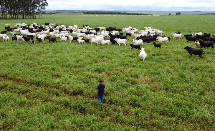 Com maior crescimento do país, agro de MS é fruto de incentivo, modernidade e sucesso do homem do campo
