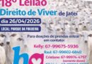 Jateí faz Leilão Direito de Viver no domingo, dia 26, para ajudar Hospital de Amor
