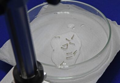MS registra 4.834 casos confirmados de chikungunya