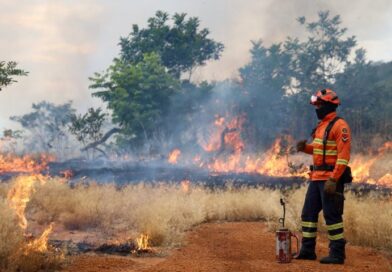 Com treinamentos e ações, Bombeiros de MS se preparam para temporada de incêndios florestais