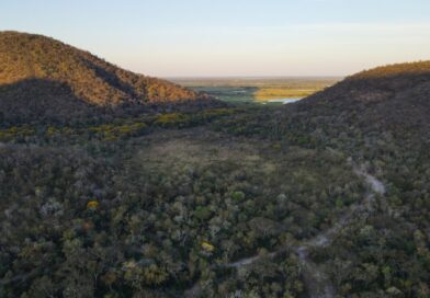 Para preservar Pantanal, produtores rurais têm ações de conservação remuneradas por programa do Governo de MS