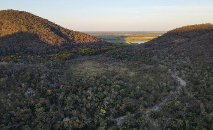 Para preservar Pantanal, produtores rurais têm ações de conservação remuneradas por programa do Governo de MS