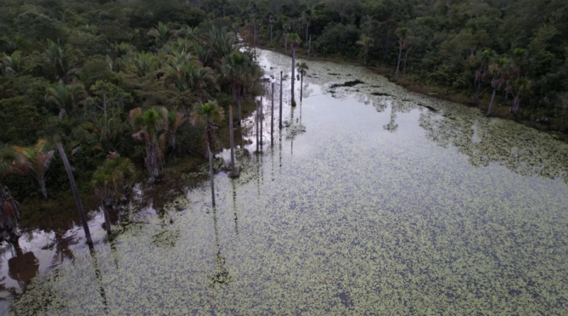 Cerrado perdeu 38% de água em rios e lagoas e viu área de barragens crescer