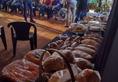 Em Vicentina, força da agricultura familiar produz alimentos e faz surgir agroindústria da união