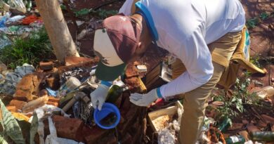 Boletim epidemiológico: MS registra 9.686 casos confirmados de chikungunya
