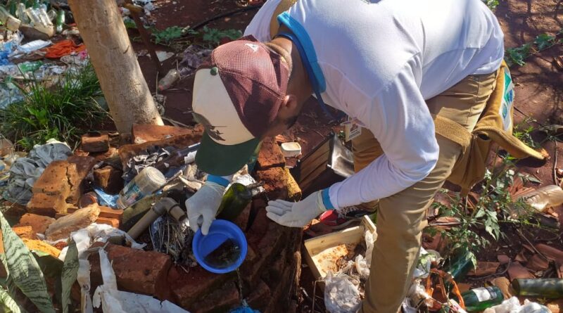 Boletim epidemiológico: MS registra 9.686 casos confirmados de chikungunya