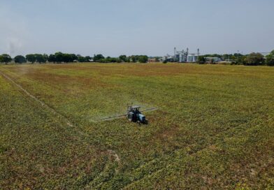 Artigo: Brasil é o mercado mais atrativo de pesticidas do mundo