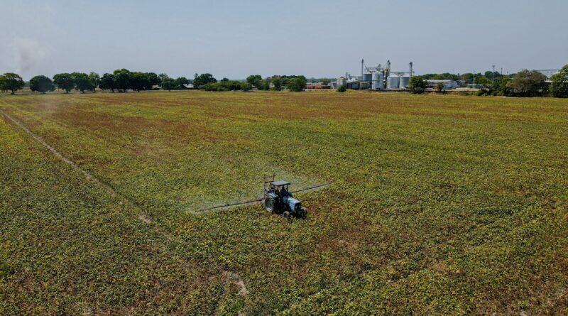 Artigo: Brasil é o mercado mais atrativo de pesticidas do mundo