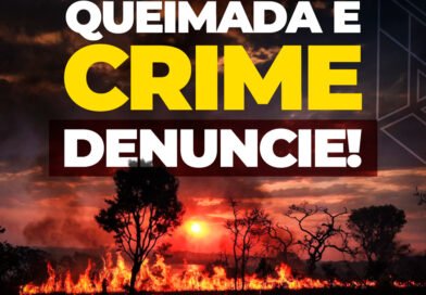Cuidar da vida: Jateí faz campanha contra queimadas e em favor do meio ambiente