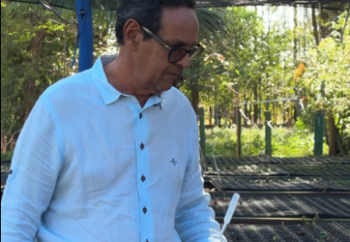 Há 40 anos, viveirista transforma coleta de sementes em recuperação da biodiversidade sul-mato-grossense