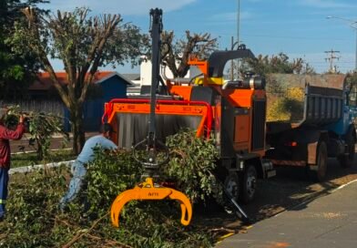 Com foco na sustentabilidade, triturador de galhos já está em operação na limpeza de Jateí