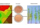 Tecnologia que “lê” o solo transforma manejo agrícola e comprova ganhos de produtividade