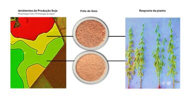 Tecnologia que “lê” o solo transforma manejo agrícola e comprova ganhos de produtividade
