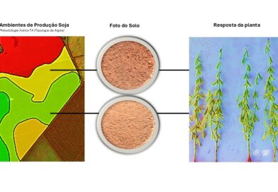 Tecnologia que “lê” o solo transforma manejo agrícola e comprova ganhos de produtividade