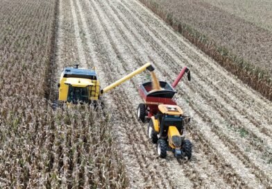 Agricultor paranaense triplica a produtividade do milho e estabelece recorde nacional