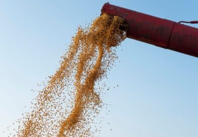 Exportações de Mato Grosso do Sul chegam a US$ 7,2 bilhões até julho