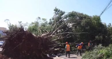 Tempestade devastadora: Campo Grande decreta situação de emergência