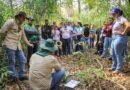 40 mil hectares e 30 produtores: iniciativa aposta na recuperação de pastagens no Cerrado
