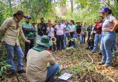 40 mil hectares e 30 produtores: iniciativa aposta na recuperação de pastagens no Cerrado