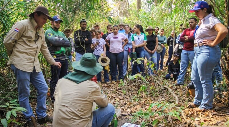 40 mil hectares e 30 produtores: iniciativa aposta na recuperação de pastagens no Cerrado