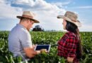 Inteligência artificial e agricultura de precisão impulsionam novas profissões no campo