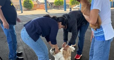 Vicentina avança na vacinação de cães e gatos e faz Dia D nesta sexta-feira em Vila Rica